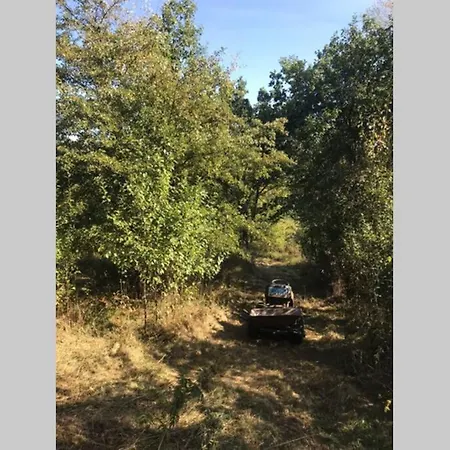 Ruhe Und Gelassenheit Finden In Einem Einzigartigen Jagdhaus Am Wald Apartman *