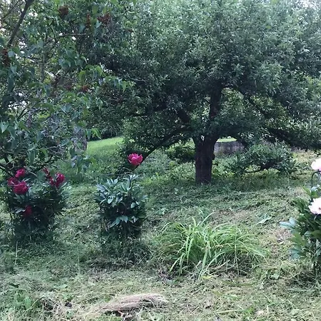 Apartman Ruhe Und Gelassenheit Finden In Einem Einzigartigen Jagdhaus Am Wald