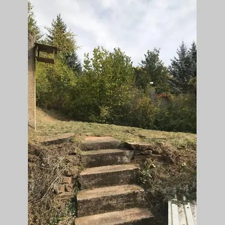 Apartman Ruhe Und Gelassenheit Finden In Einem Einzigartigen Jagdhaus Am Wald *