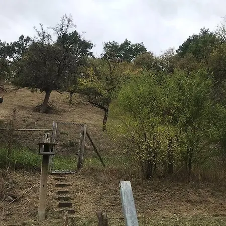 Ruhe Und Gelassenheit Finden In Einem Einzigartigen Jagdhaus Am Wald Sondershausen